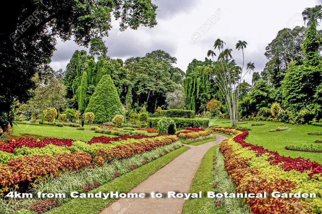 Candy Home Kandy Ngoại thất bức ảnh